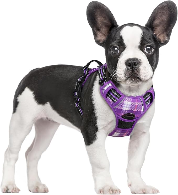 rabbitgoo Dog Harness No Pull by rabbitgoo