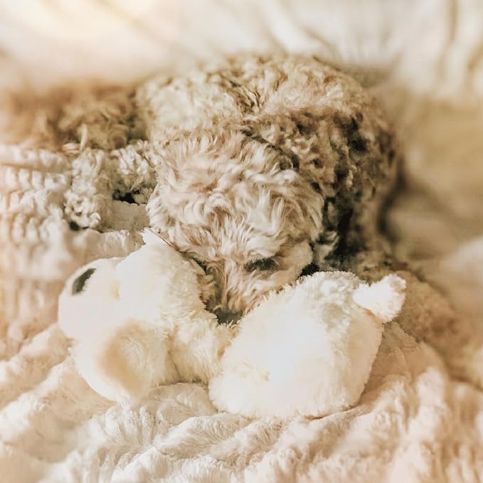 Snuggle Puppy Heartbeat Dog Toy - Image 6