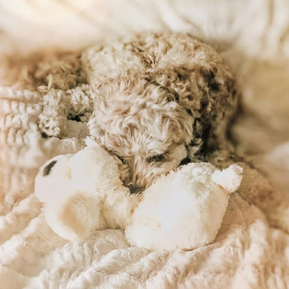 Snuggle Puppy Heartbeat Dog Toy - Image 6