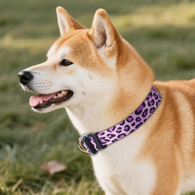 QQPETS Adjustable Soft Dog Collar: Print Flower Pink Multicolor Cute Patterns - Image 9