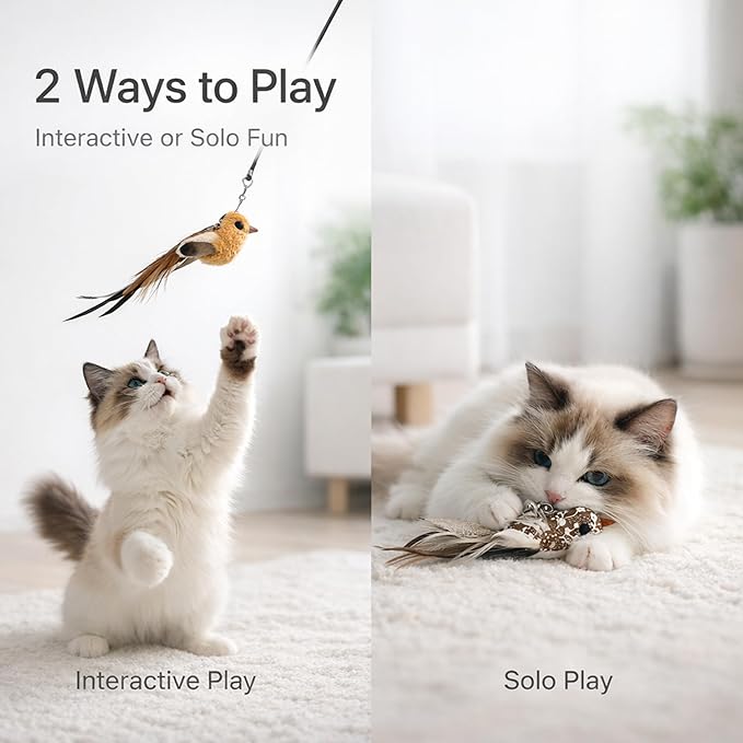 11PCS Realistic Bird Cat Toy Refills – Handmade Feather Cat Toys - Image 5