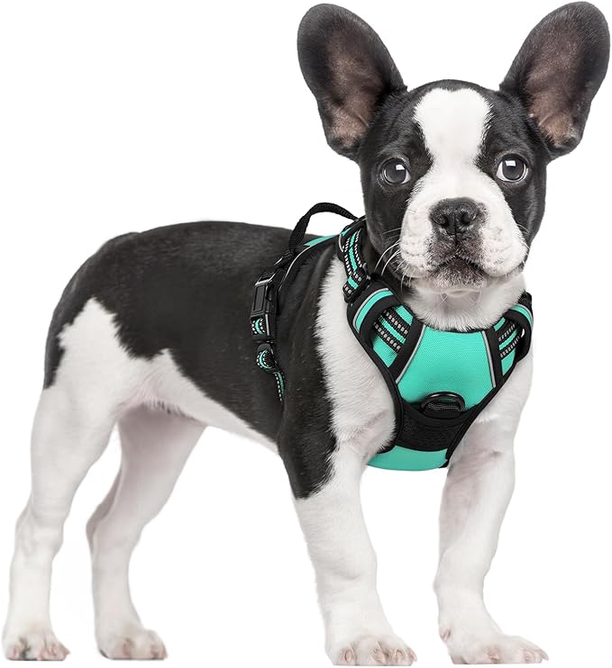 rabbitgoo Dog Harness No Pull by rabbitgoo