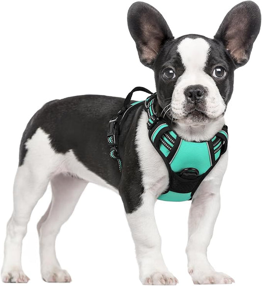 rabbitgoo Dog Harness No Pull by rabbitgoo