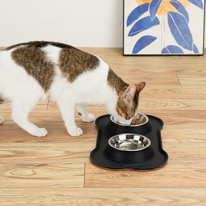 Conlun Dog Bowls with Silicone Feeding Mat, No Spill Food Water Dish Set - Image 9