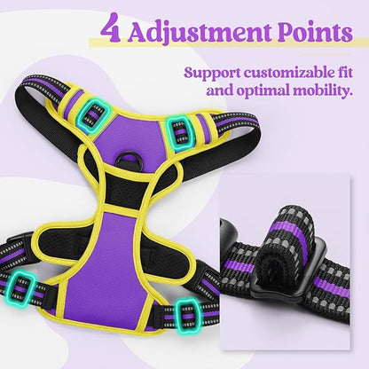 rabbitgoo Dog Harness No Pull - Image 4