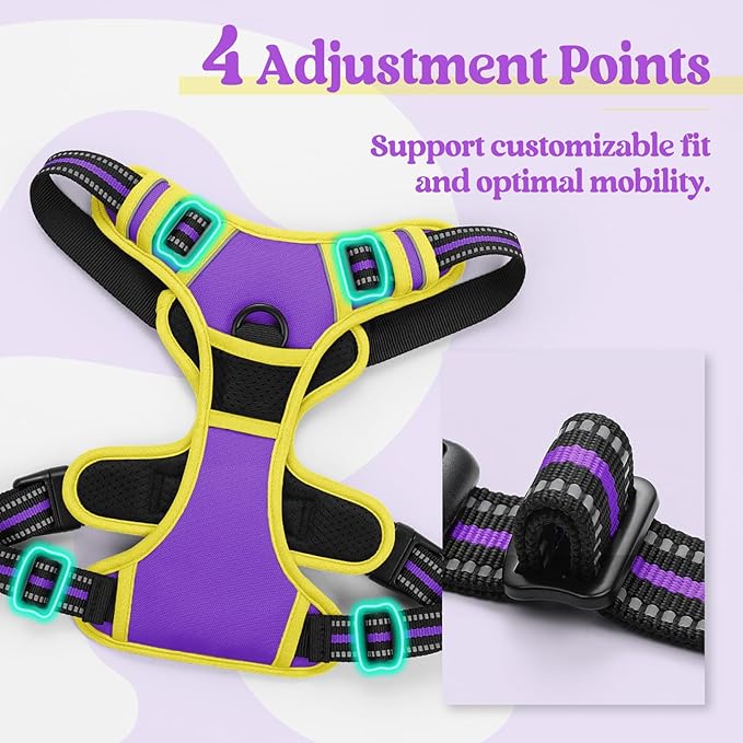 rabbitgoo Dog Harness No Pull - Image 4