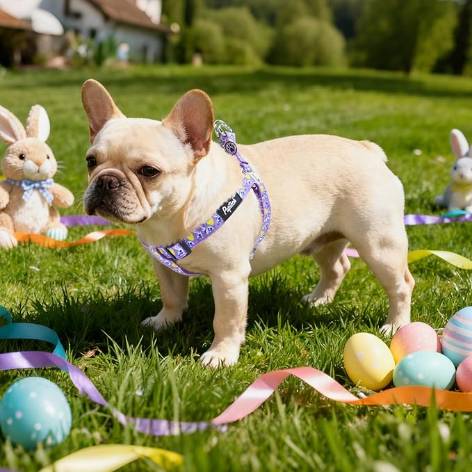 PUPTECK No Pull Easter Dog Harness Soft Adjustable Basic Nylon Step in Puppy - Image 6