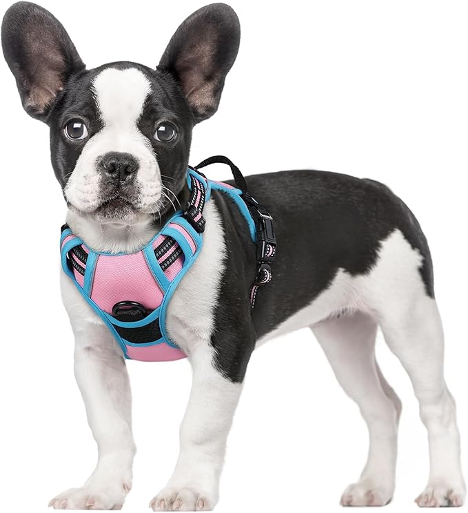 rabbitgoo Dog Harness No Pull by rabbitgoo