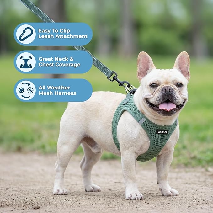 Best Pet Supplies Voyager Step-in Air All Weather Mesh Harness and Reflective - Image 5
