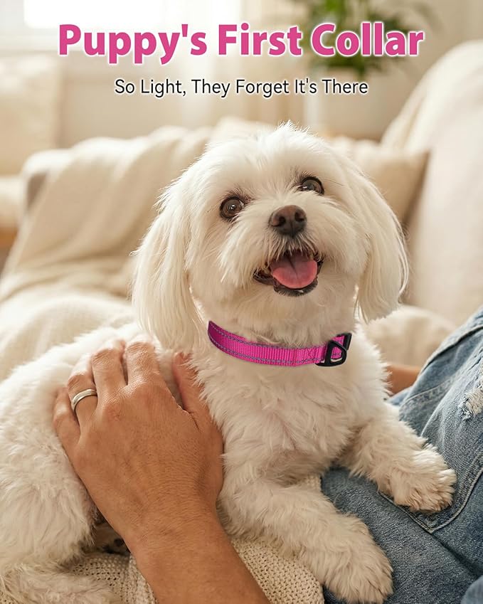 Joytale Dog Collars for Small Dogs, Feather-Light Double-Sided Reflective Nylon - Image 2