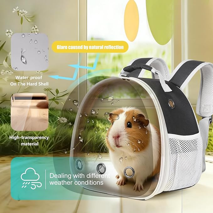 Portable Guinea Pig Backpack, Polarized Bubble Backpack - Image 4