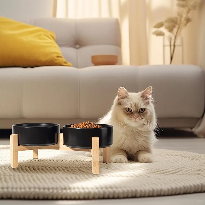 Elevated Ceramic Dog Bowl Set - Image 6