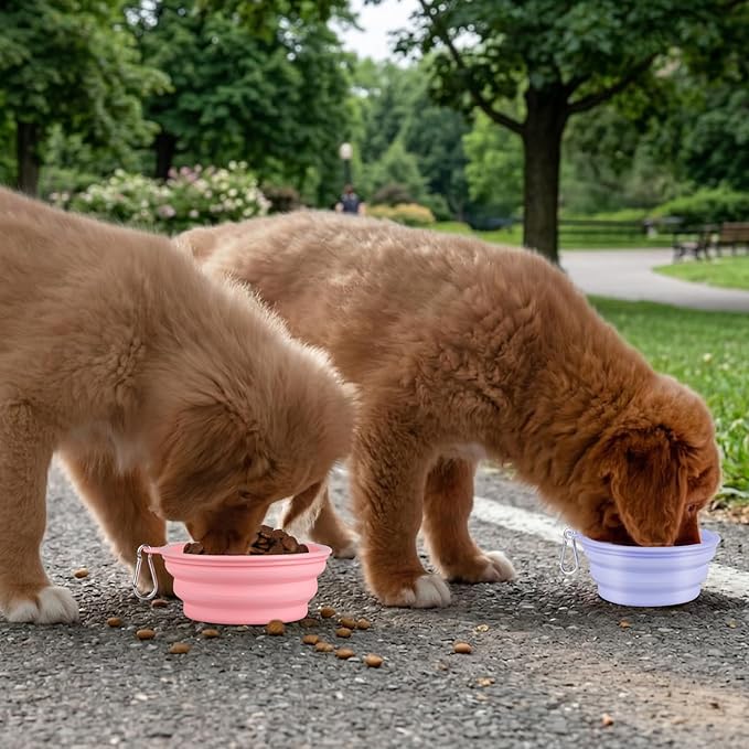 Kytely Collapsible Dog Bowls for Travel, Foldable Pet Food Bowl - Image 6