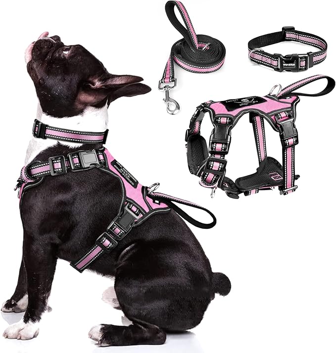 WINSEE Pet Harness Collar and Leash Set, All-in-one Reflective Dog Harness No by WINSEE
