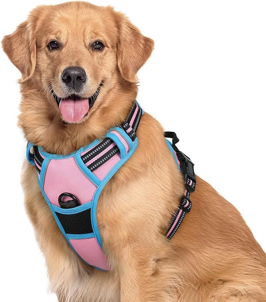 rabbitgoo Dog Harness No Pull by rabbitgoo