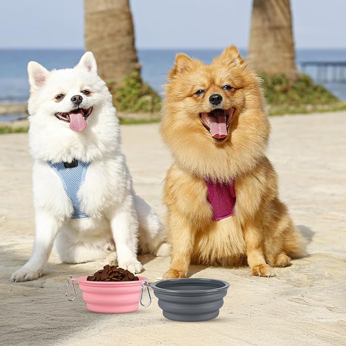 Kytely Collapsible Dog Bowls for Travel, Foldable Pet Food Bowl - Image 6