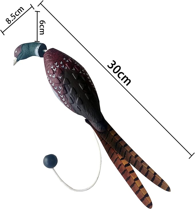 fingig 2 Pcs Pheasant Dummy Bumper Toy - Image 2