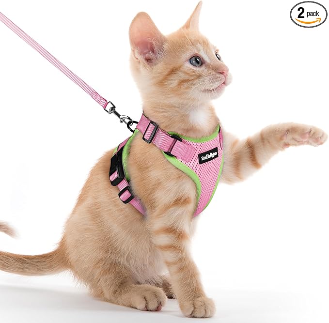 rabbitgoo Cat Harness and Leash Set, Escape Proof Kitten Harness by rabbitgoo