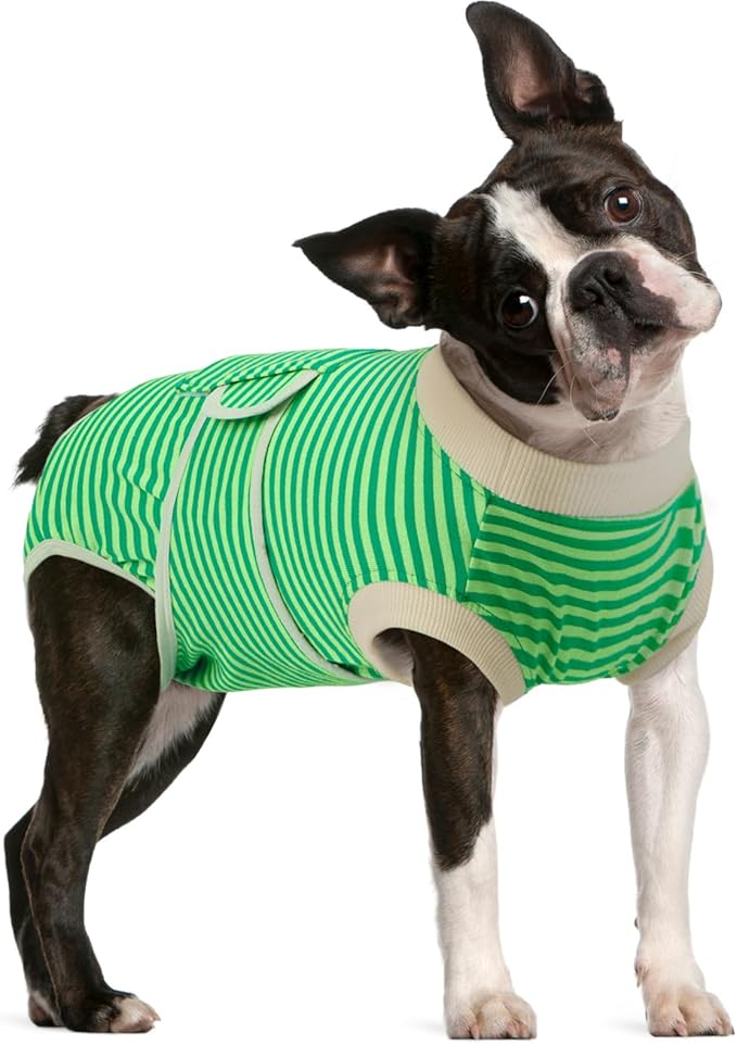 FUAMEY Dog Recovery Suit Male, Dogs Surgery Neuter Suits Puppy Spay Shirts by FUAMEY