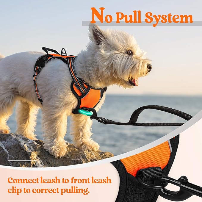 rabbitgoo Dog Harness No Pull - Image 5