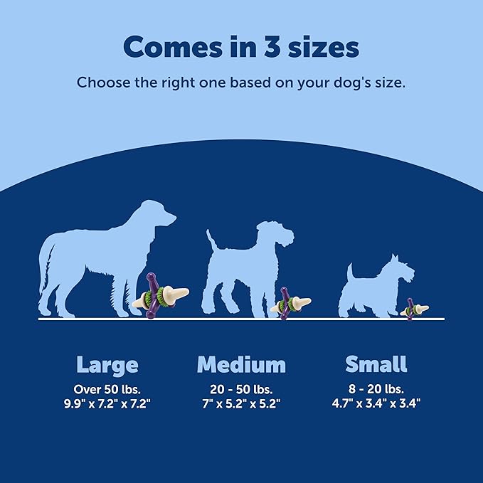 PetSafe Busy Buddy Jack - Image 5
