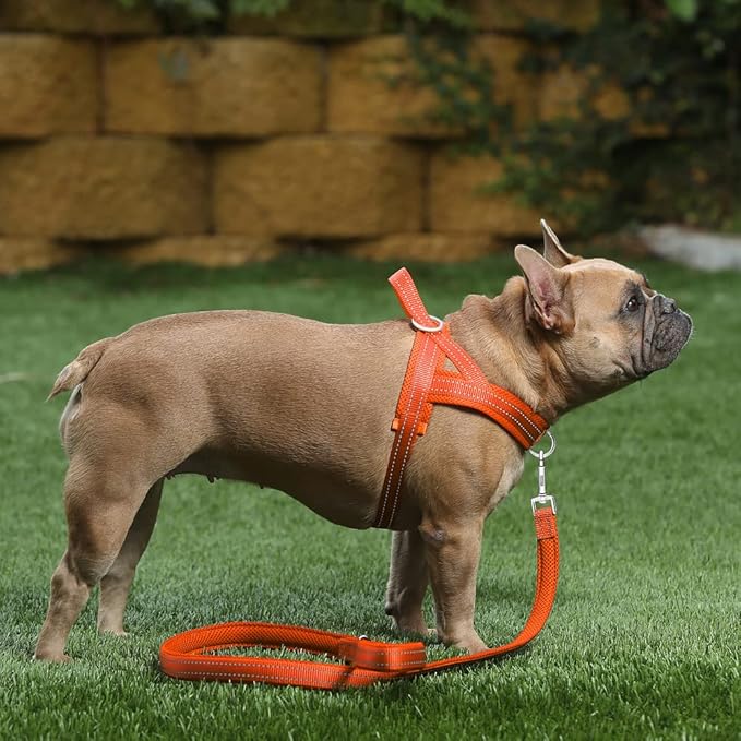 Plutus Pet No Pull Dog Harness - Image 5