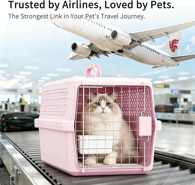 RIZZARI Medium Cat Carrier for Cats & Small Dogs: Durable Hard-Sided Pet Carrier - Image 4