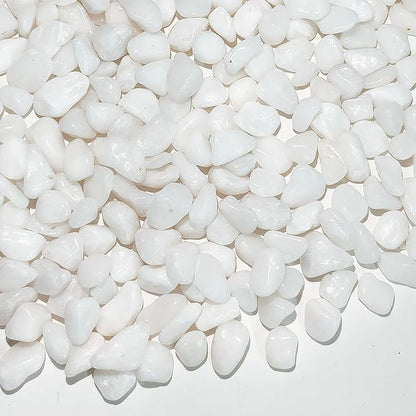 FANTIAN 2 Pounds White Pebbles for Indoor Plants, 3/8 Inch Polished White Rocks by FANTIAN-GardeningMakesLifeBetter
