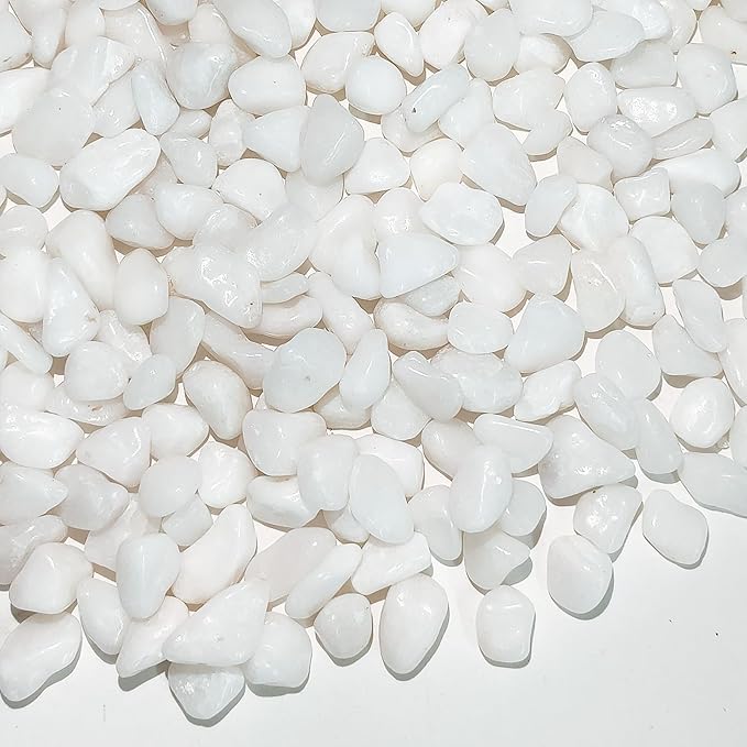 FANTIAN 5 lbs White Pebbles for Indoor Plants, 3/8 Inch Decorative White Gravel by FANTIAN-GardeningMakesLifeBetter