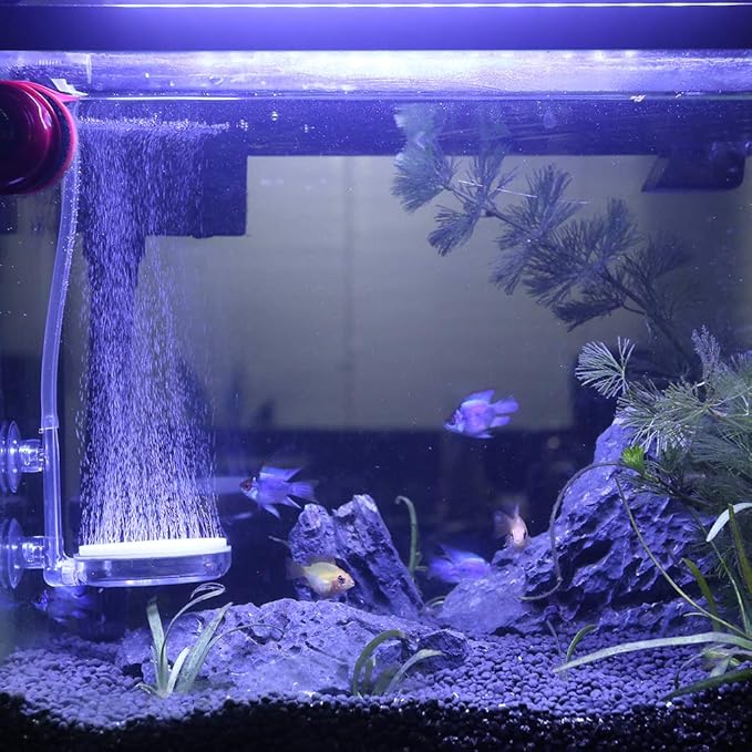 Upettools Aquarium Air Stone Fish Tank Nano Bubble Stone Kit - Image 7