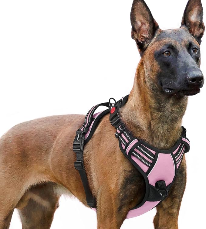 rabbitgoo Dog Harness for Large, No Pull Easy On & Off by rabbitgoo