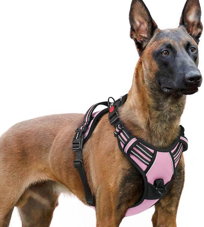 rabbitgoo Dog Harness for Large, No Pull Easy On & Off by rabbitgoo