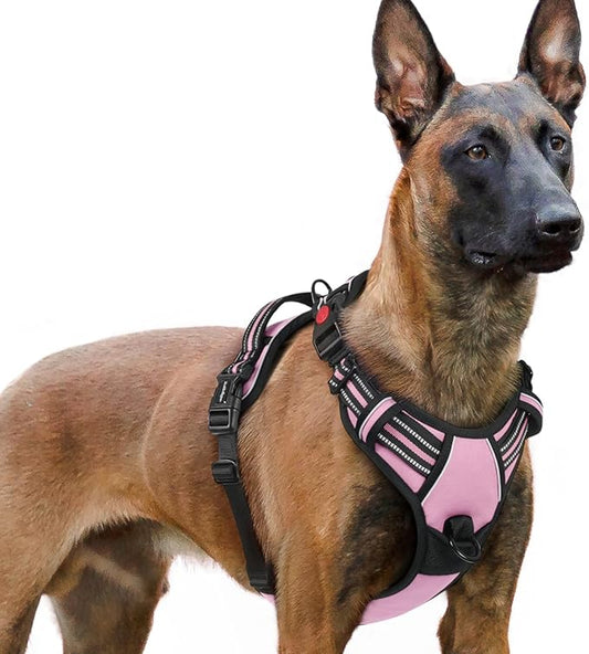 rabbitgoo Dog Harness for Large, No Pull Easy On & Off by rabbitgoo