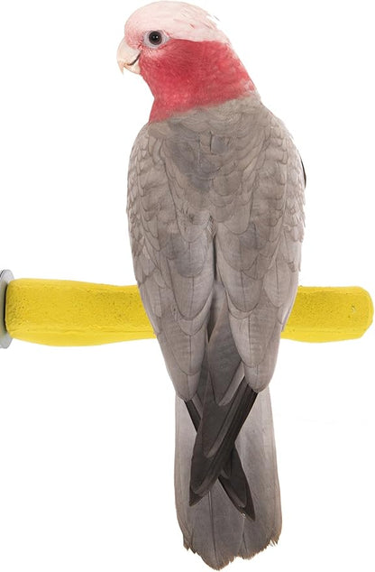 Sweet Feet and Beak Comfort Grip Safety Perch by SweetFeetBeak