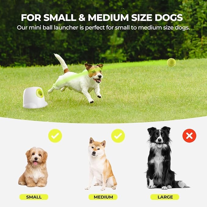 ALL FOR PAWS Automatic Dog Ball Launcher, Interactive Fetch Toy for Small to - Image 6