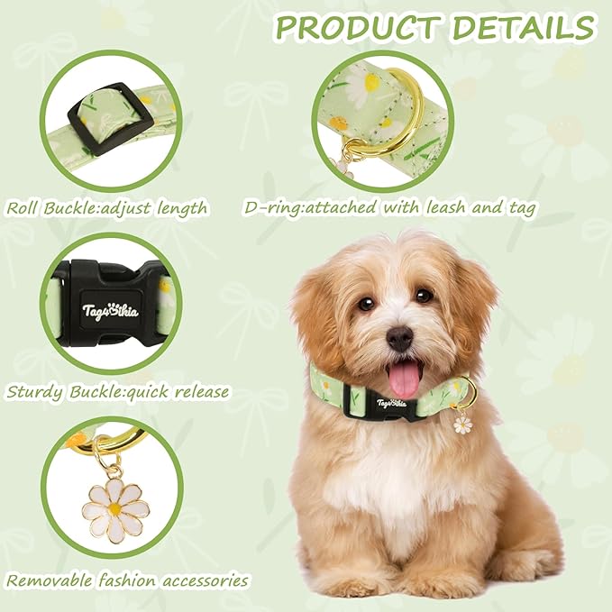 Dog Collar with Daisy Patterns, Spring Summer Collection Green Dog Collar with - Image 3