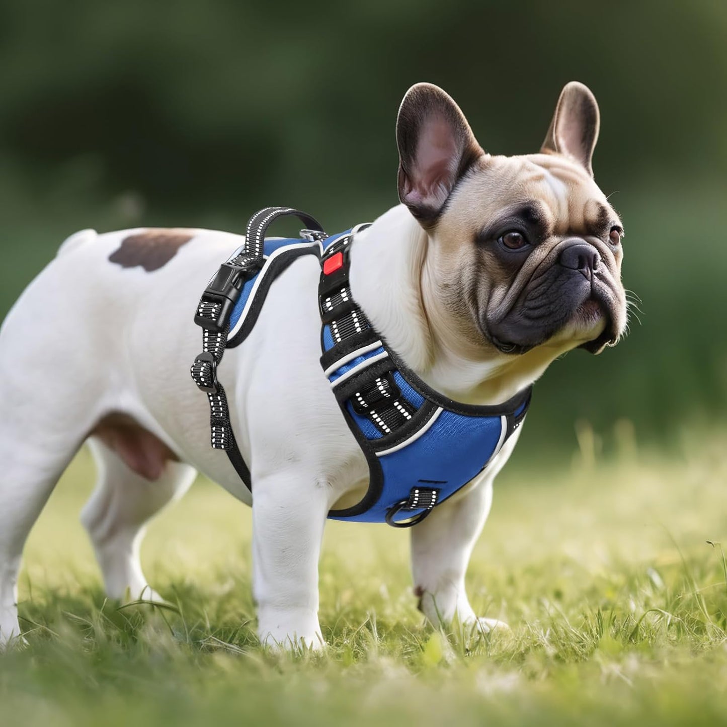 Timos Dog Harness, No Pull Dog Harness 3 Snap Buckles Adjustable Reflective No Choke Pet Vest for Small Dog with Soft Padded Control Training Handle for Outdoor Training,Lock Blue, S