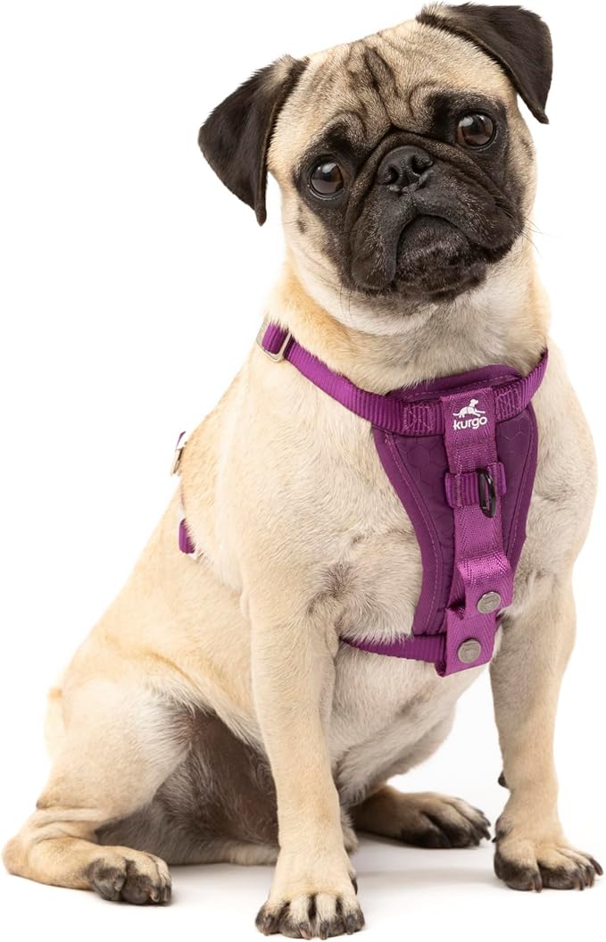 Kurgo Enhanced Strength Tru-Fit Dog Car Harness by Kurgo