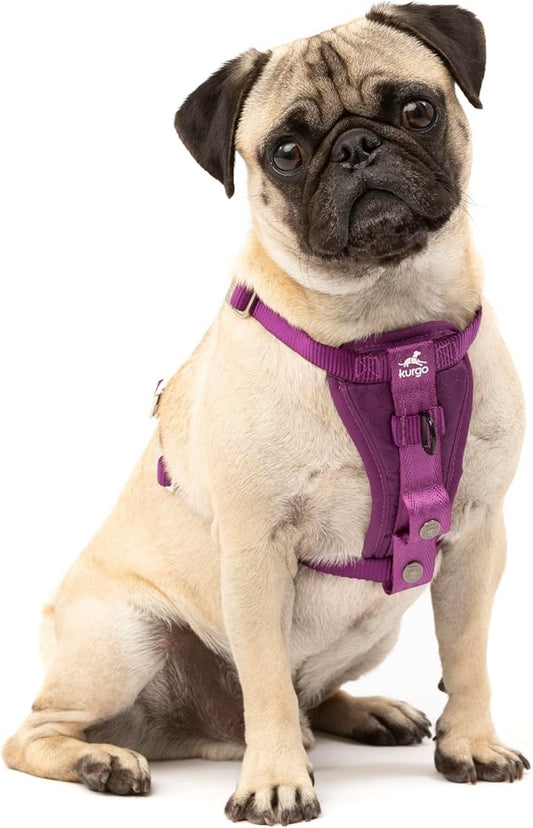 Kurgo Enhanced Strength Tru-Fit Dog Car Harness by Kurgo