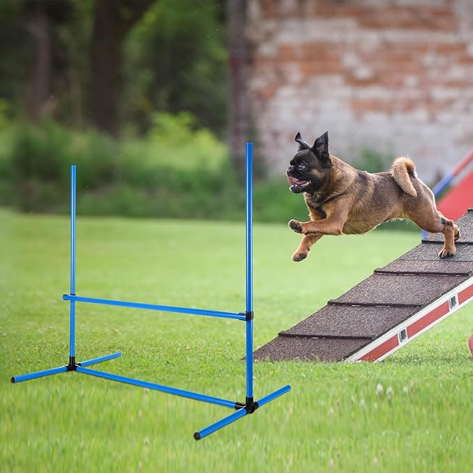 Shappy 4 Pieces Dog Agility Equipment - Image 7