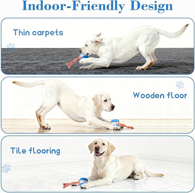 Interactive Dog Ball, Random Path Electric Automatic Moving and Rolling Dogs Toy - Image 5