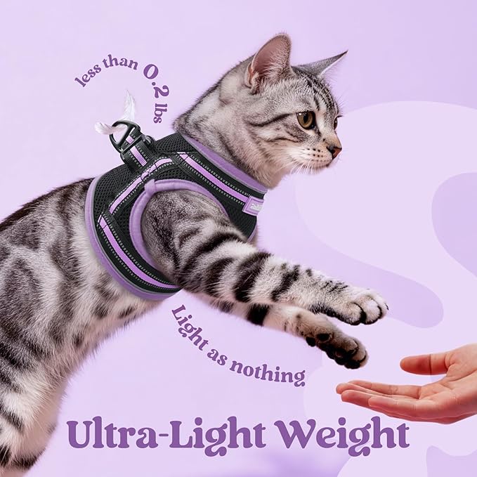 rabbitgoo Cat Harness and Leash, Step-in Escape Proof Kitten Harness Set - Image 6