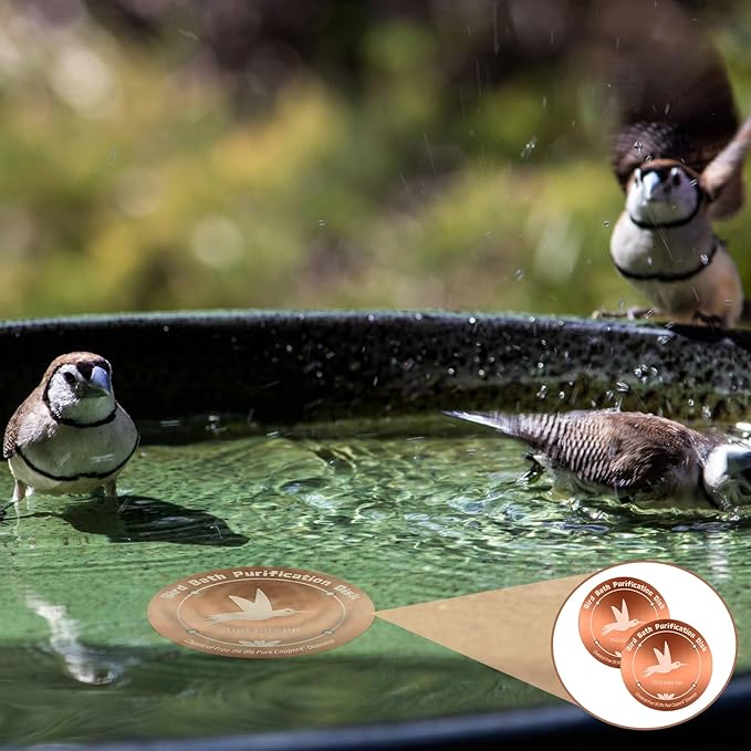 CTTZCKJ 3PCS Pure Copper Bird Bath Purification Disk - Image 7