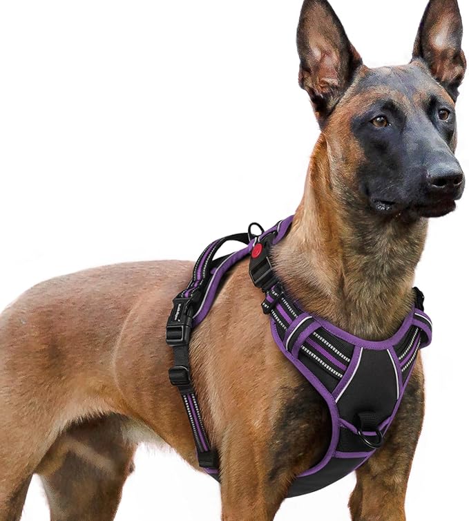 rabbitgoo Dog Harness for Large, No Pull Easy On & Off by rabbitgoo
