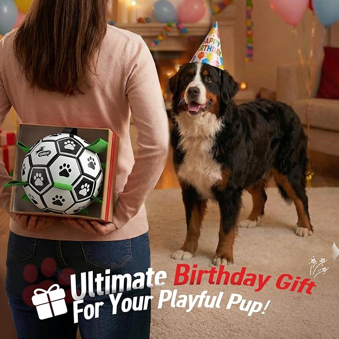 QDAN 10 Inch Gaint Dog Soccer Ball - Image 5