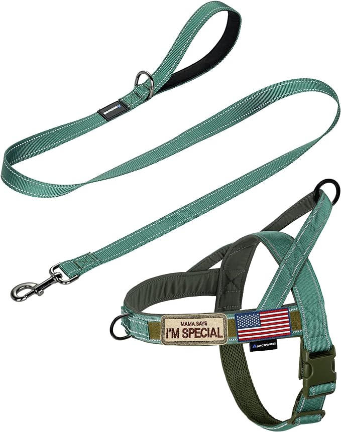 Annchwool No Pull Dog Harness by Annchwool