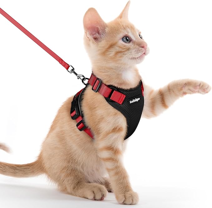 rabbitgoo Cat Harness and Leash Set, Escape Proof Kitten Harness by rabbitgoo