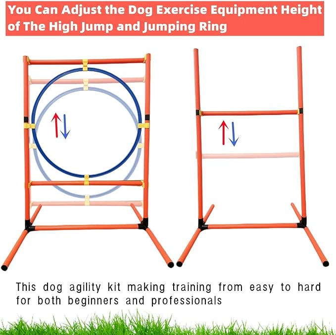 Dog Agility Training Equipment Set, Puppy Jump Training Obstacle Course Starter - Image 3