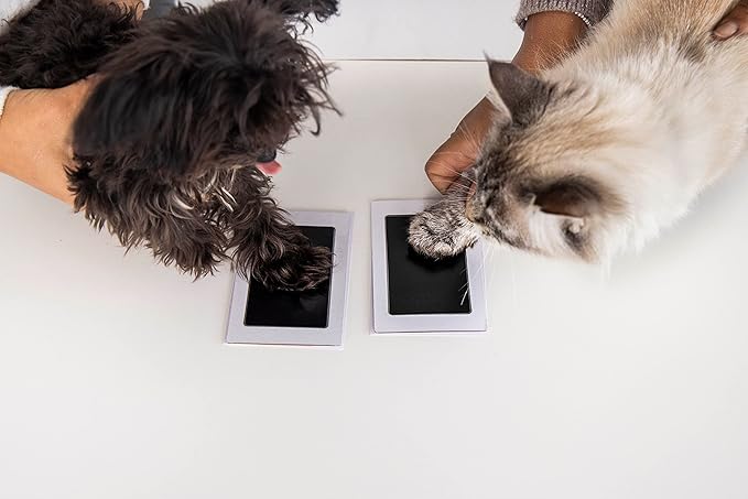Pearhead Paw Print Clean-Touch Ink Pad, Mess Free Inkless Pet Impression Kit - Image 7