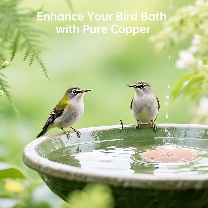 2 Pack Bird Bath Purification Disk, Premium 0.6mm Sturdy 99.99% Pure Copper Disk - Image 6